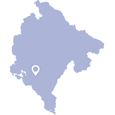 Anketa 5